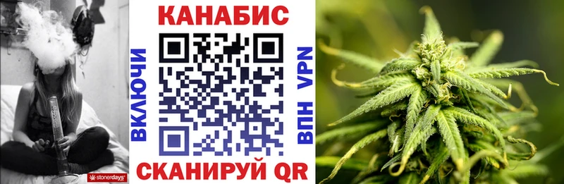 наркота  Чекалин  МАРИХУАНА план 